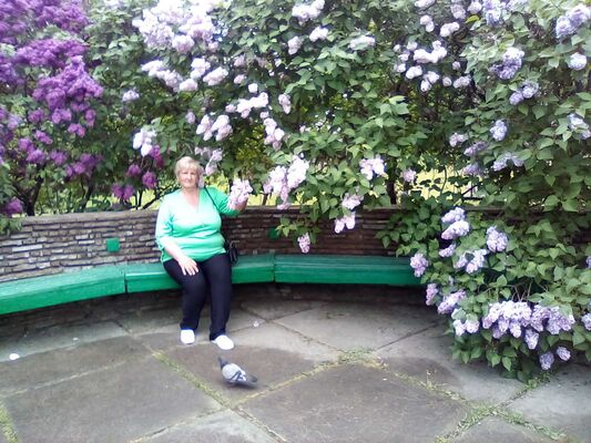  ,   , 58 ,     , c 