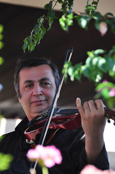  ,   Alex, 63 ,   ,   , c 