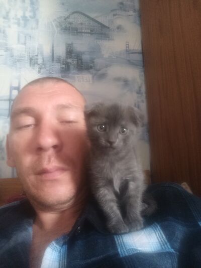  ,   , 41 ,   ,   
