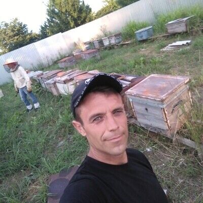  -,   , 36 ,   ,   
