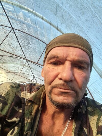  --,   , 46 ,   ,   