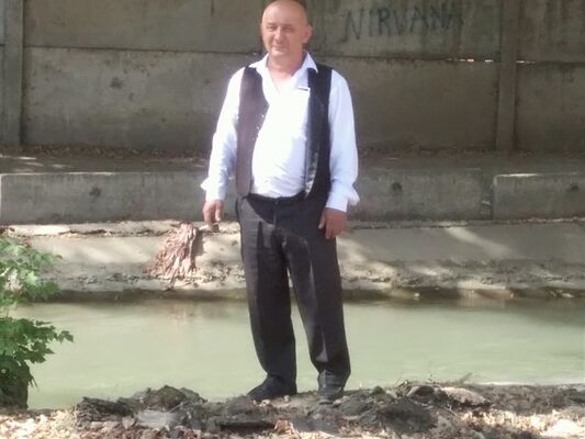  ,   Rofi, 61 ,   ,   , c 