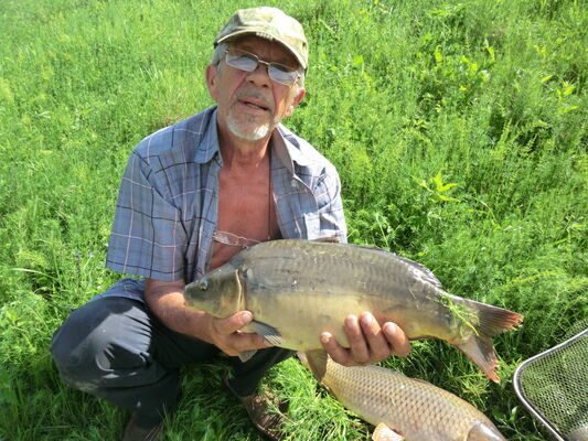  ,   Andrei, 76 ,   c 