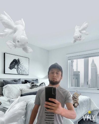  -,   , 25 ,   ,   , 