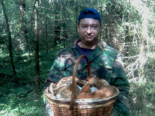  ,   Denis, 41 ,   ,   , c , 
