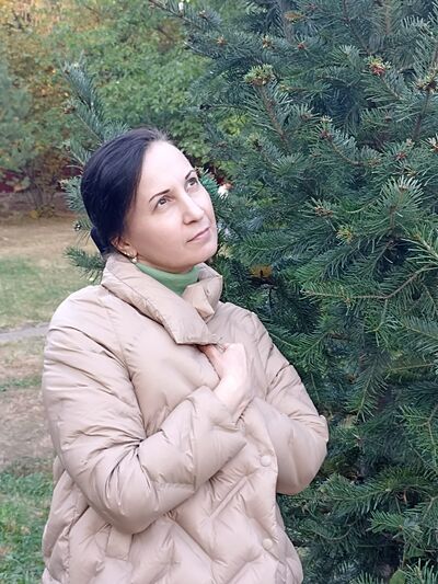   ,   , 48 ,   c , 