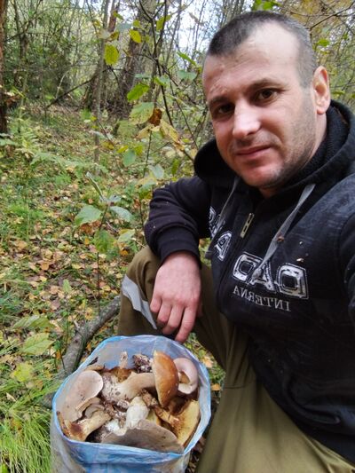  ,   Windiesel, 36 ,   ,   