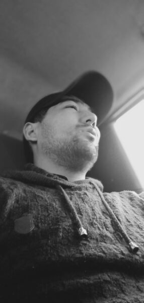  ,   Damir, 33 ,   ,   , c 