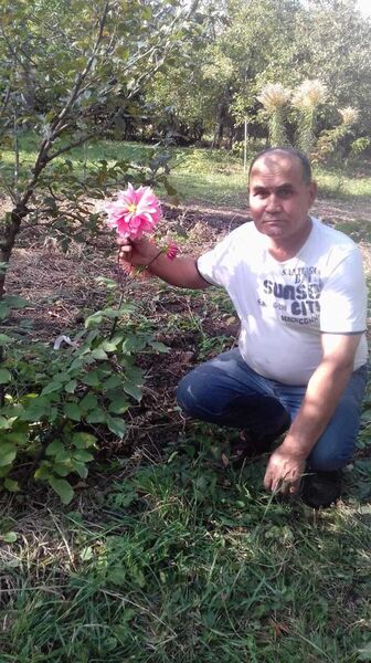  -,   , 53 ,   ,   , c , 