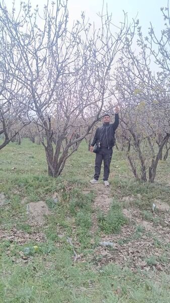  ,    , 20 ,   ,   