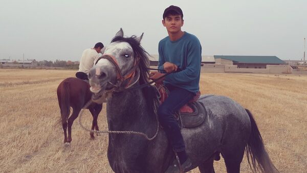  ,   2441100, 32 ,     , c , 