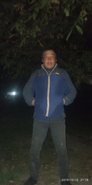  -,   , 37 ,   ,   , c 