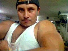  ,   94  6337173, 35 ,     , c 