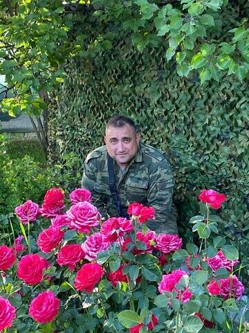  deleted,   , 38 ,   ,   
