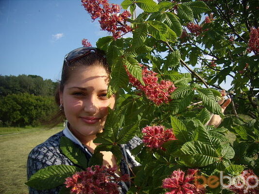  ,   Dasa, 34 ,   ,   , c 