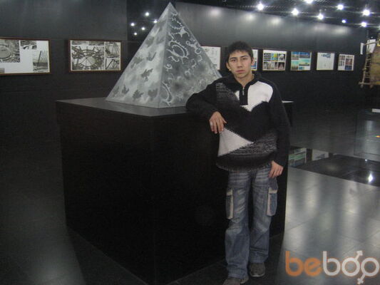  ,   SHURIK, 36 ,   ,   , c 