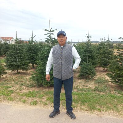  Stuttgart,   Turar, 43 ,   ,   , c 