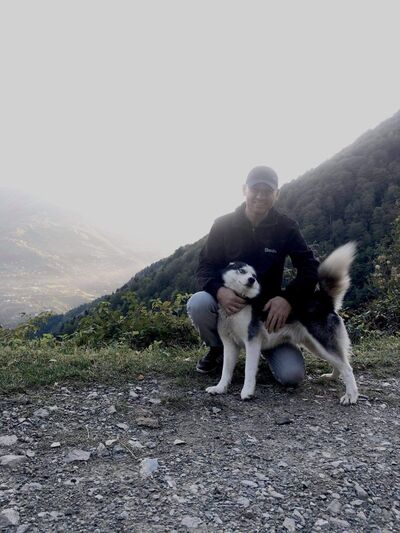  ,   SANDRIK, 41 ,   ,   , c 