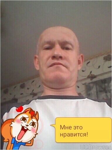  33289844  , 53 ,    -