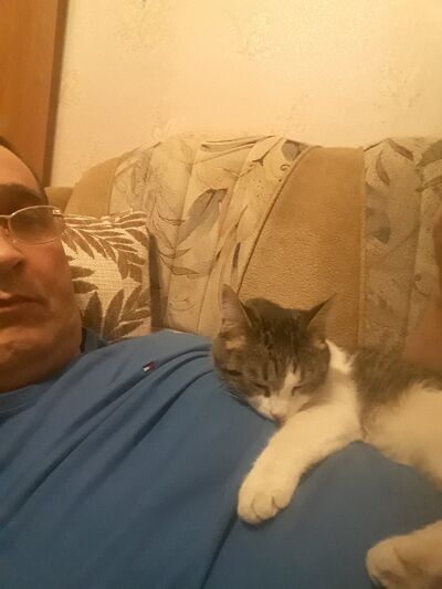  ,   , 56 ,  