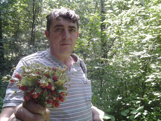  ,   , 56 ,   