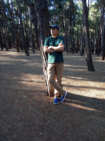  ,   Murat, 40 ,   ,   , c 