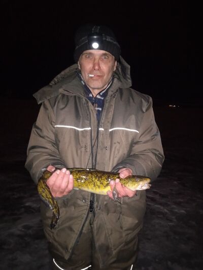  ,   , 54 ,   c 