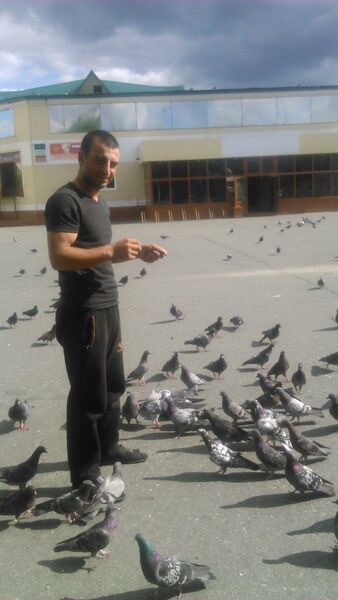  ,   Aranm, 34 ,   