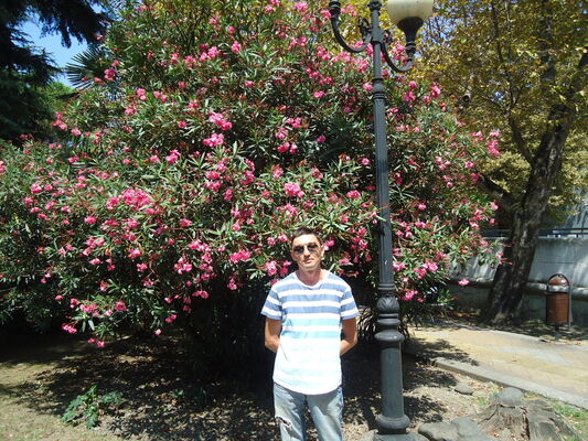  ,   , 48 ,   ,   , c , 