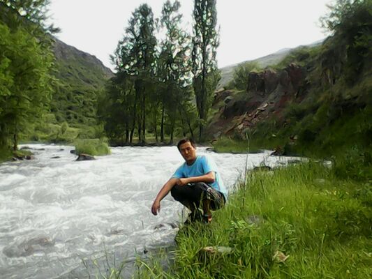  -,   , 38 ,   