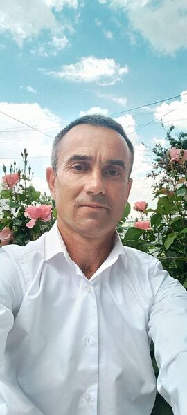  ,   , 50 ,     , c 