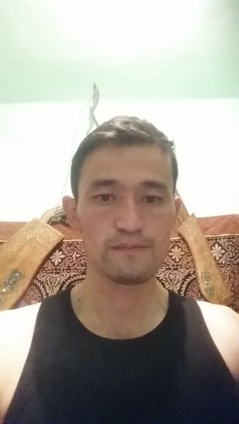  ,   Kizatolla, 37 ,     , c 