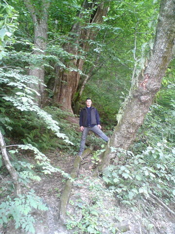  ,   Ikrom, 40 ,   ,   , c 