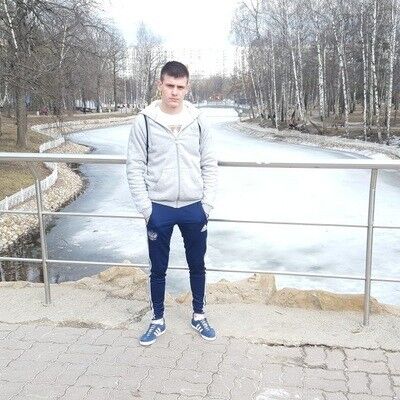  ,   Panda, 31 ,   ,   , c 