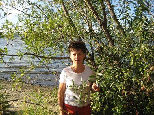  ,   , 60 ,   ,   , c 