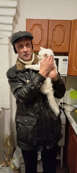  ,   , 54 ,   ,   