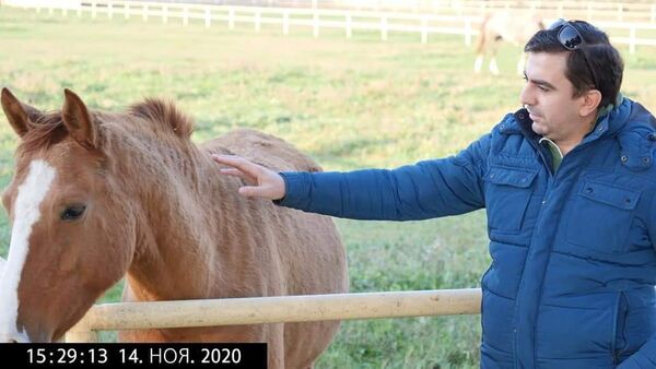  ,   Hasan, 39 ,   ,   