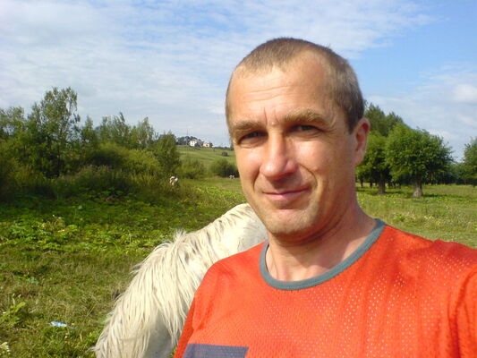  -,   Vitek, 79 ,   ,   , c 