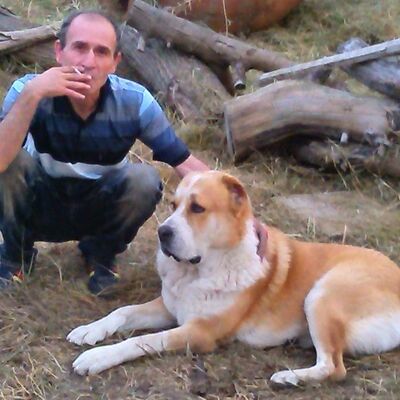 ,   Maxo, 59 ,   ,   , c 