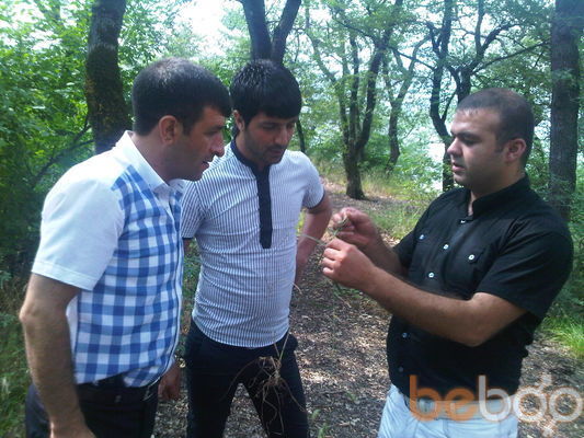 ���������� ����, ���� ������� Malik, 42 ����, ������������ ��� ������, ����� � ���������, c�������� ���������