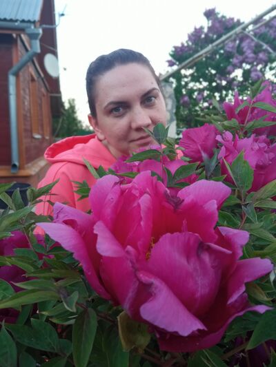  ,   , 41 ,   ,   