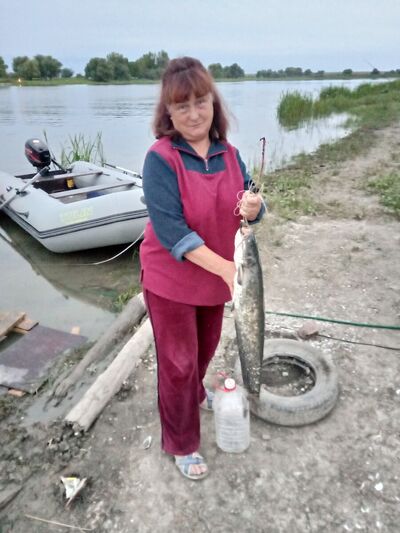  ,   , 66 ,  