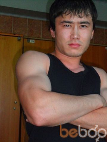  ,   TAIGER, 37 ,   ,   , c 