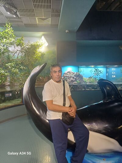  ,   , 55 ,   ,   