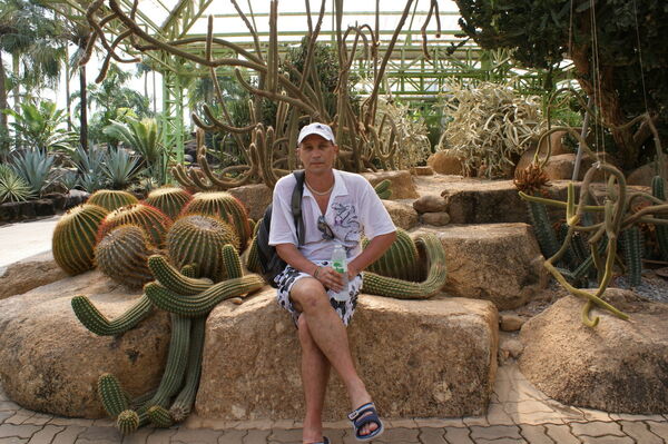  ,   , 53 ,  