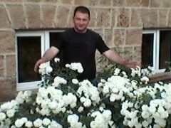  ,   Arman, 35 ,   
