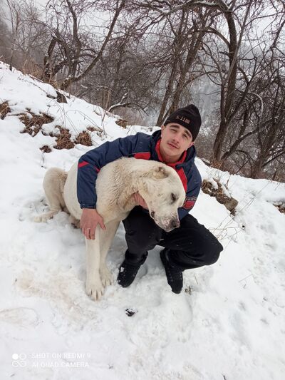  ,   Gosha, 22 ,   ,   , c 