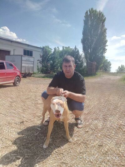  ,   Alex, 46 ,   ,   , c 