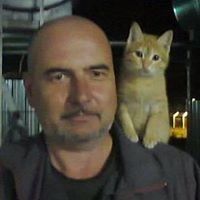  ,   , 56 ,   