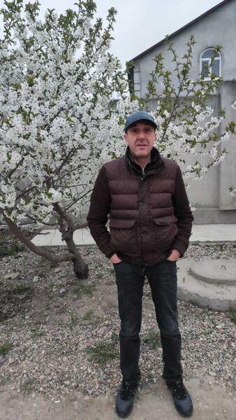  ,   , 46 ,     